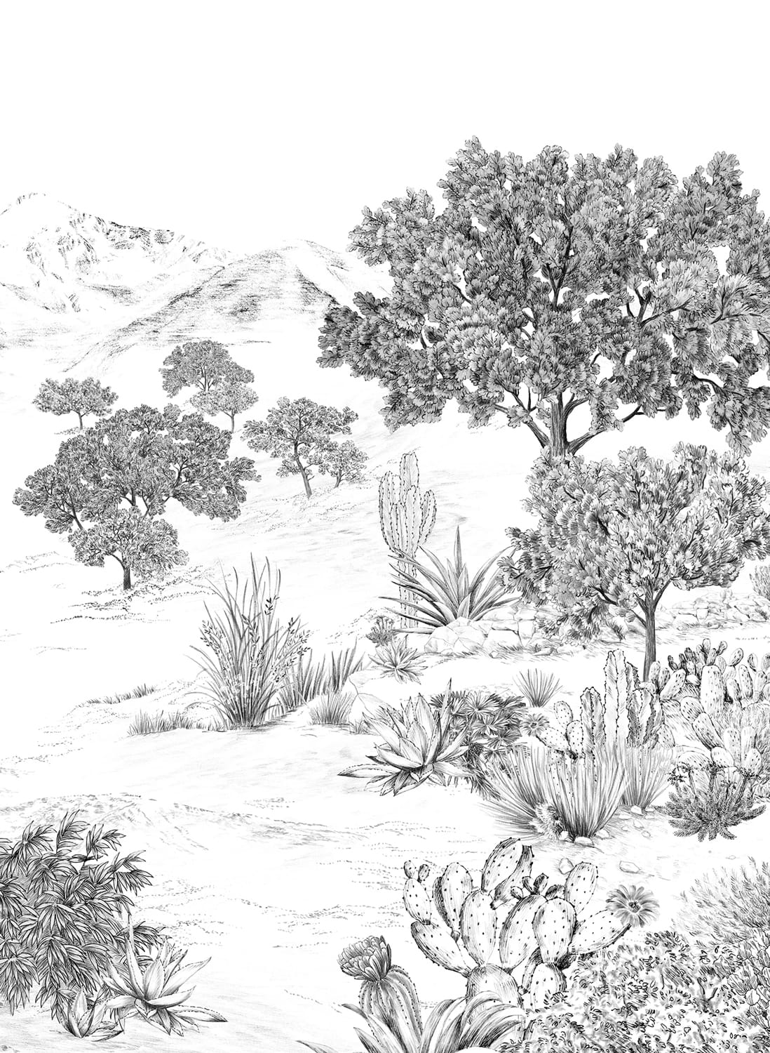 Wandbild Succulentes Grisaille
