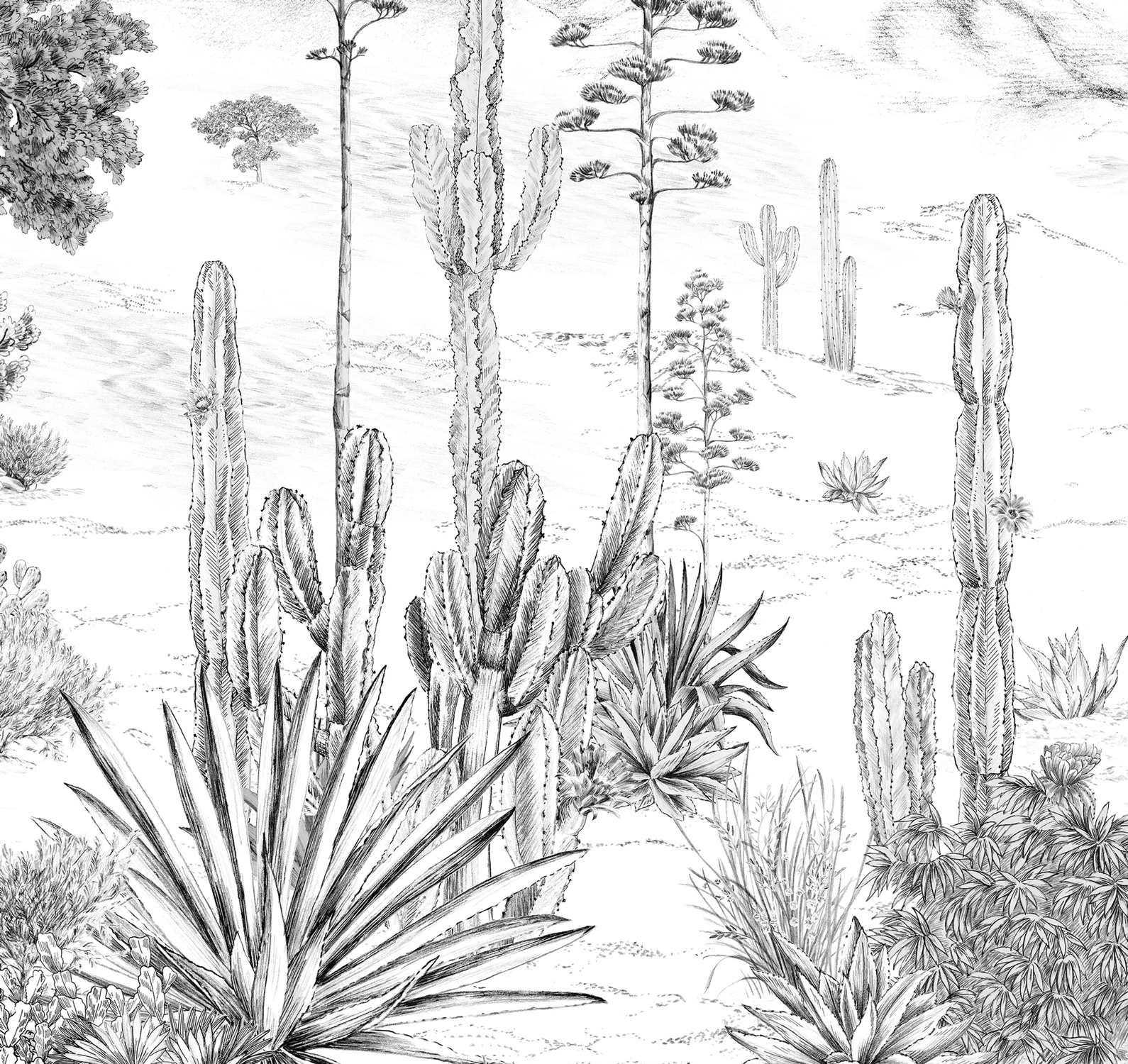 Wandbild Succulentes Grisaille - Panel A