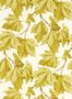 8391_2_Harlequin_Dappled_Leaf_113046-115137