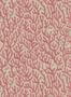 8103_2_Josephine-Munsey_Coral_Red-Toppings_JMW-101601-79124