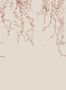 9475_2_Sandberg_Aralia_S10175-93691