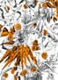 4481_3_edmond_petit_feu_d_artifice_rm102-03-53963