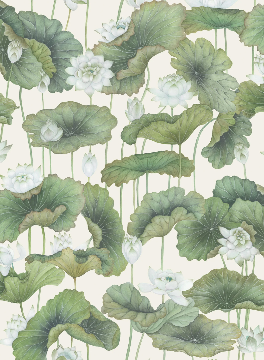 Tapete Lily Lotus - White on Cream
