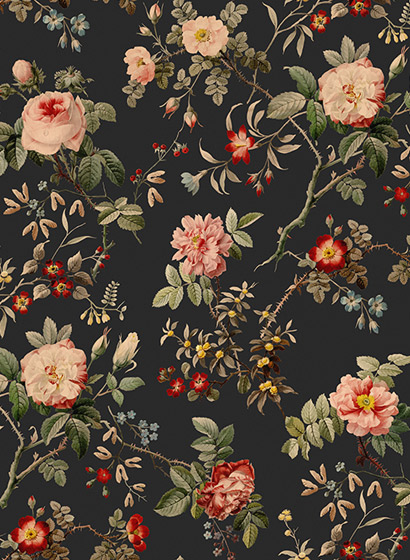 Wandbild Thorn Rose - Midnight