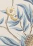 17992_02_Manuel_Canovas_Opoa_03124-02-177772
