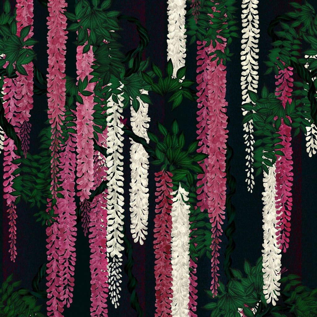 Tapete Wisteria Alba - Magenta
