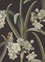 16379_01_Sandberg_Lilian_S10600-158694