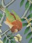 7773_3_Liberty_Silk_Tree_07292204S-108078