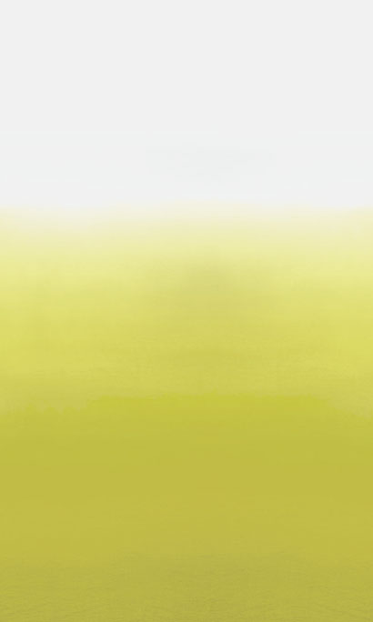 Wandbild Saraille - Acacia