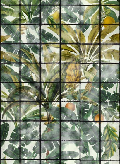 Tapete Orangerie - WP20176
