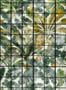 3440_1_mindthegap_orangerie_wp20176-29522