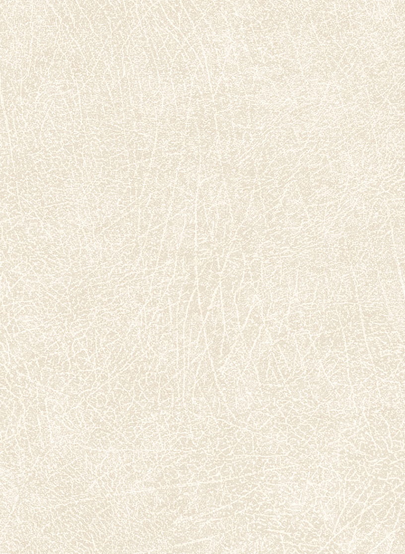 Tapete Skin 5 - Beige
