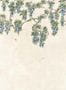 18225_04_Coordonne_Abril_YSP0642_-196088