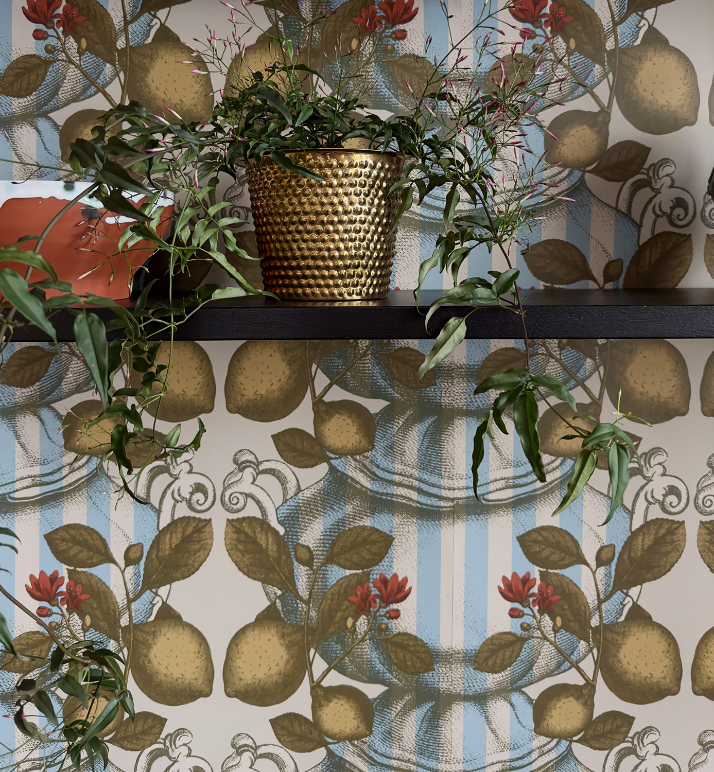Tapete Limoncello Stripes - Beige/ Blue