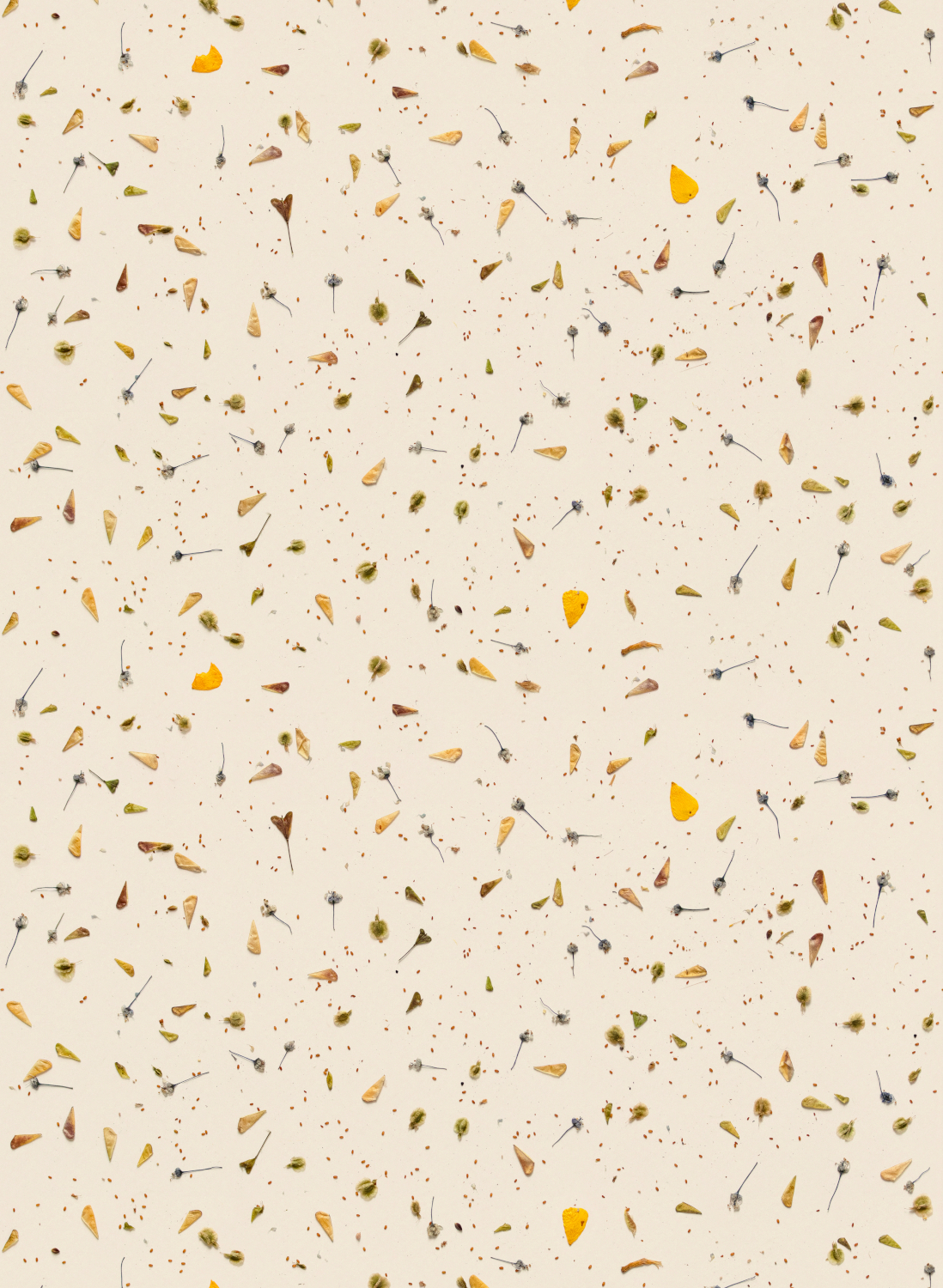 Tapete Floral Confetti/ Bloemen Confetti - Original