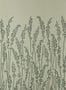 2194_1_farrow_and_ball_feather_grass_5105-24440