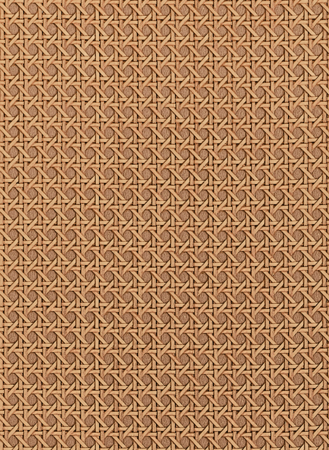 Tapete Paper Rattan - Saddle