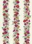 18704_01_Edmond_Petit_Rayure_d’Anémones_RM154-001-188353