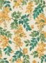 5705_3_cole_son_bougainvillea_117-6018-59236