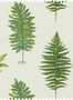 50002_1_Sanderson_Fernery_Embroidery_Fabric_237319-134760
