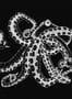 8515_3_Coordonne_Wandbild_Octopus_X-Ray_9500802-70153