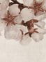 9129_2_Coordonne_Big-Random-Flora_6800414-75356