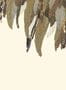 8680-4-Eijffinger-Fancy-Feather-307409-90066