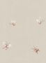 15101_1_Sandberg_Butterflies_S10447-127462