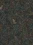 9466_1_KEK-Amsterdam_Floor-Rieder-3_FR-018-97975