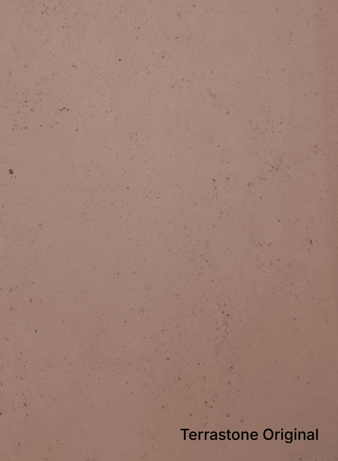 Apricot Rose - 10