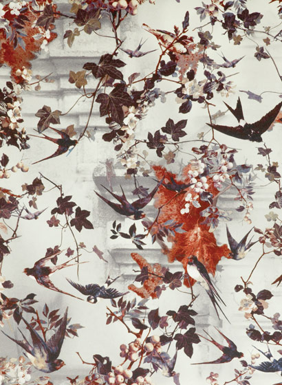 Tapete Hirondelles - Hiver
