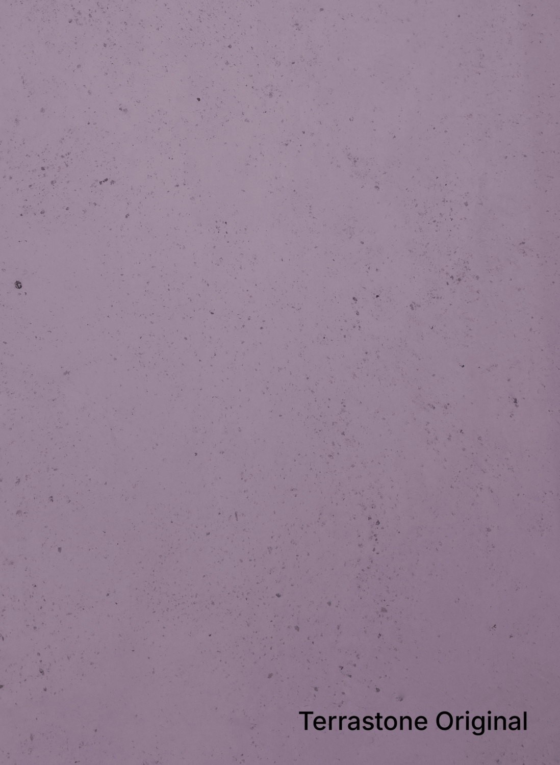 Viola - 28