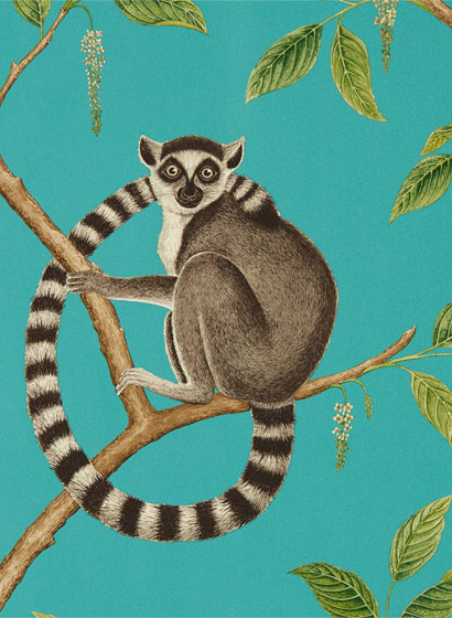Tapete Ringtailed Lemur - Teal