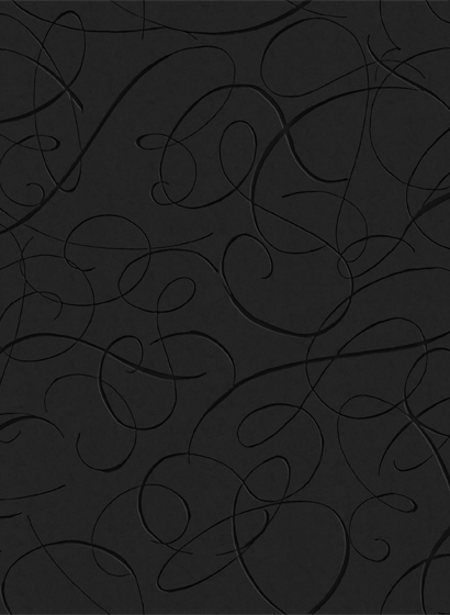 Tapete Calligraphy Bird - MO2011 - Midnight