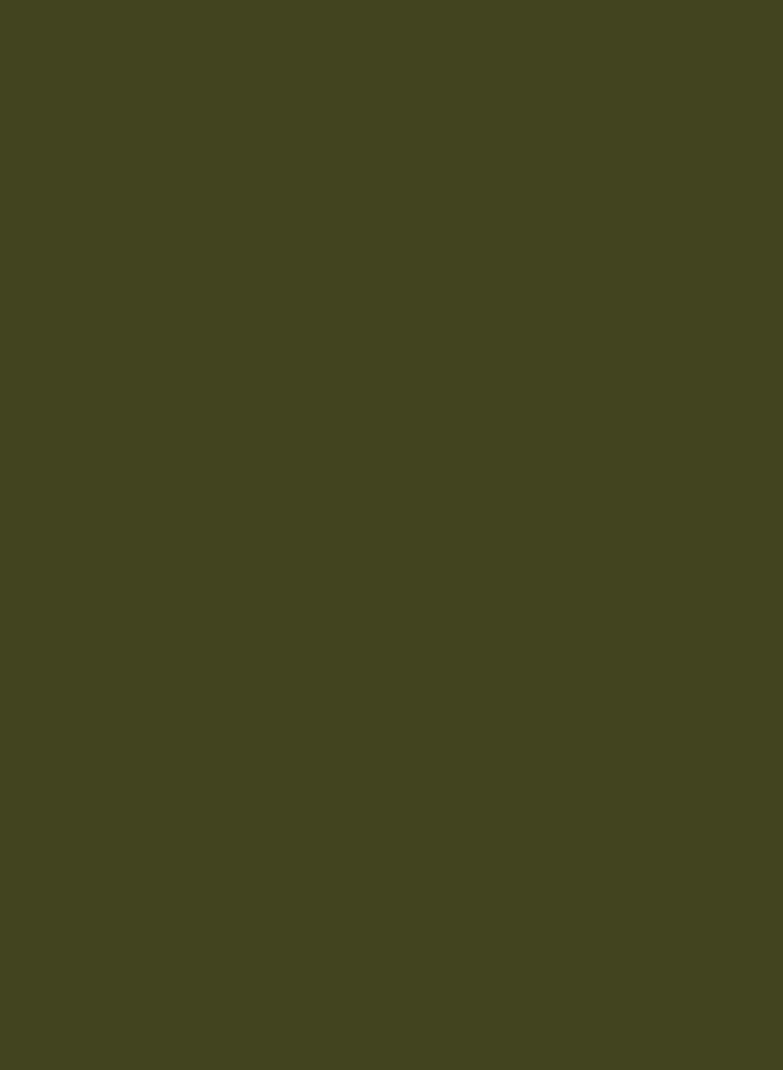 Olive Colour 72
