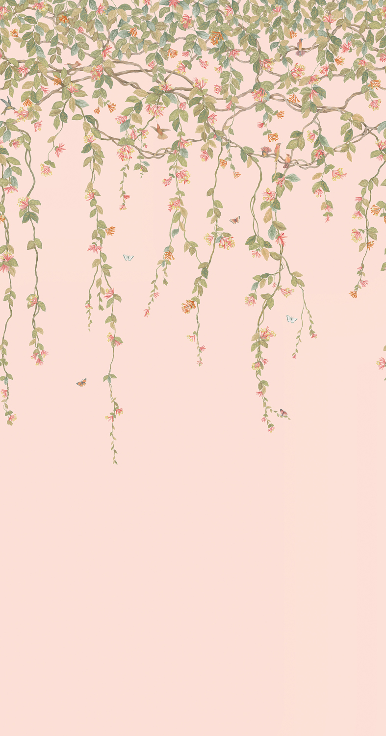 Tapete Hummingbirds Flora - Tangerine/ Olive on Blush
