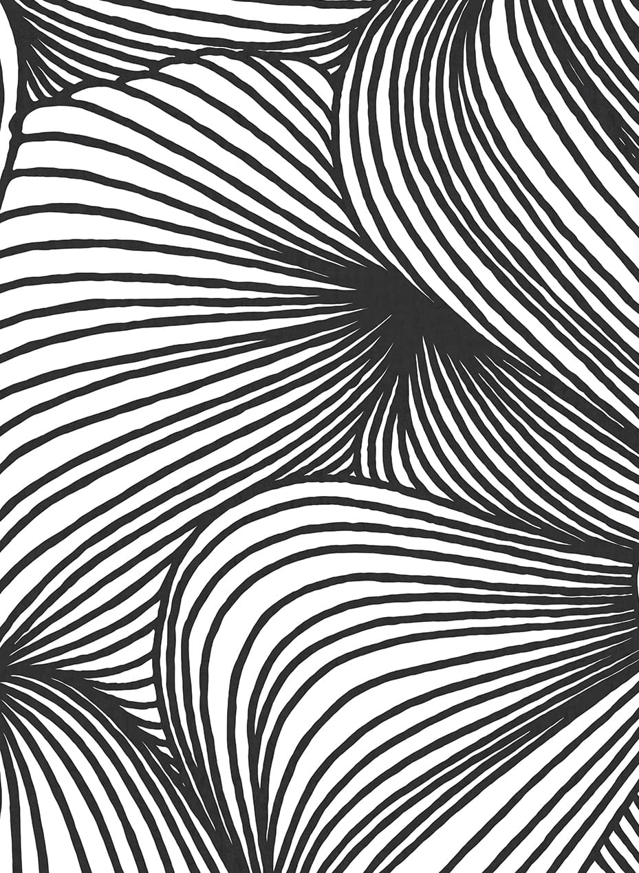 Wandbild Opulence Lines - Graphite