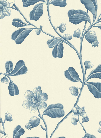 Tapete Broadwick Street - Balsam