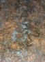 14847_14_Jannelli_and_Volpi_Orthez_40102-132081
