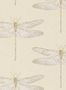 2224_3_harlequin_palmetto_demoiselle_111239-24586