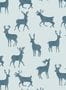 18731_04_Thibaut_Bucks_T12064-187510