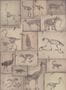 3461_1_mindthegap_zooarchaeology_wp20236-29573