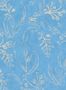 16037_1_Mindthegap_Wallflower_WP20820-115519