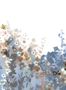 17585_01_Jannelli_and_Volpi_Zeeland_41100-154859