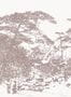 14529_4_Tenue_de_Ville_Ginkesai_SIG_230809-111906