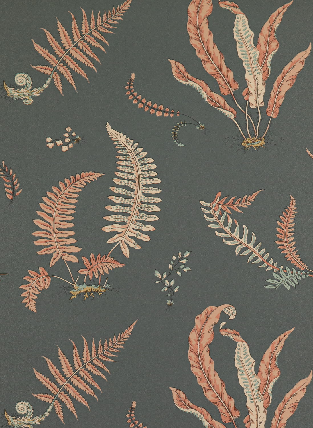 Tapete Ferns - Coral/ Charcoal