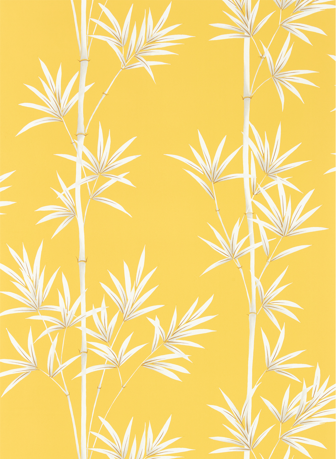 Tapete Isabella - Honey/ Porcelain