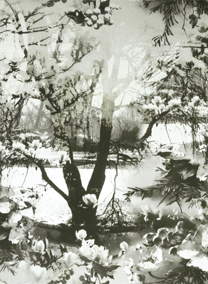 Tapete Brume - Ecru/ Noir