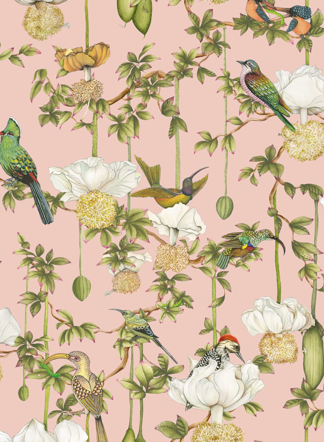 Tapete Baobab Botanica - Blush