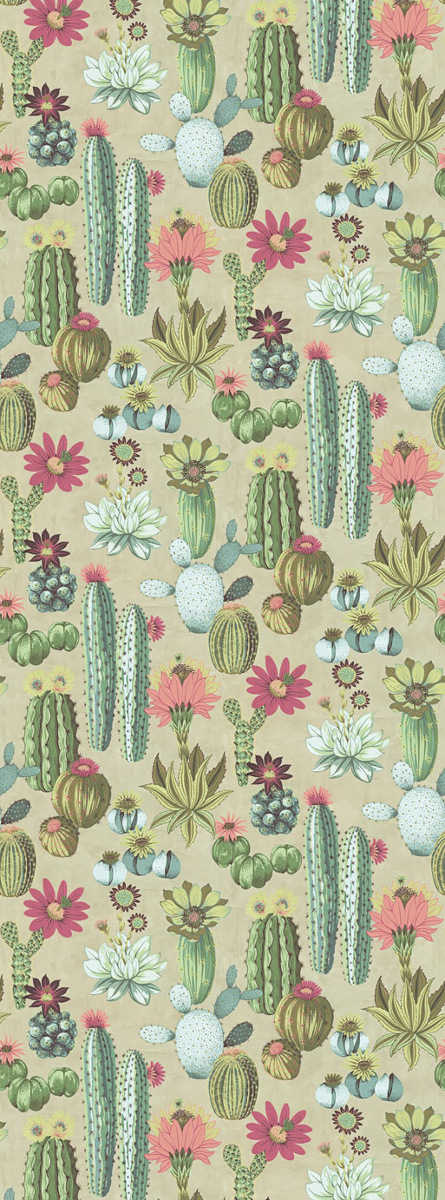 Tapete Cacti - 384605